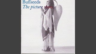 Video thumbnail of "Buffseeds - Sparkle Me"