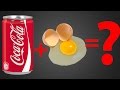 Coca-Cola + Egg experiment