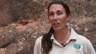 Respect and Protect: Paleontological Resources