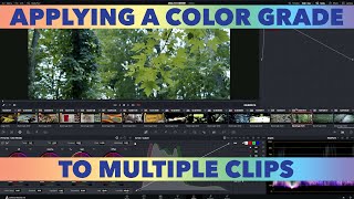 Tutorial: Applying The Same Color Grade To Multiple Clips In Resolve screenshot 2