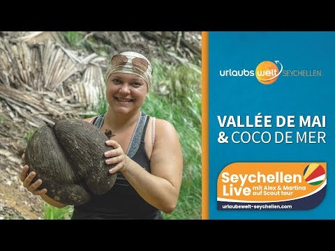 Zauberhaftes Vallée de Mai & Coco de Mer, Seychellen