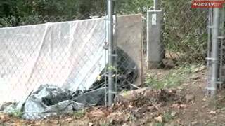 Animal Rescue Effort Becomes Cat Hoarding Investigation