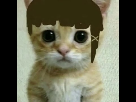 Duvet - Boa (Meowsynth Version)