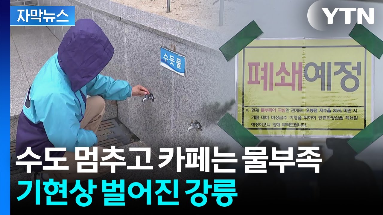 [자막뉴스] 물난리 속에 강릉만 다른 세상...비명 지르며 '초비상' / YTN