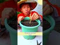 Errores comunes, consejos, fertilizantes | Recopilación Jardinería Con Carlos