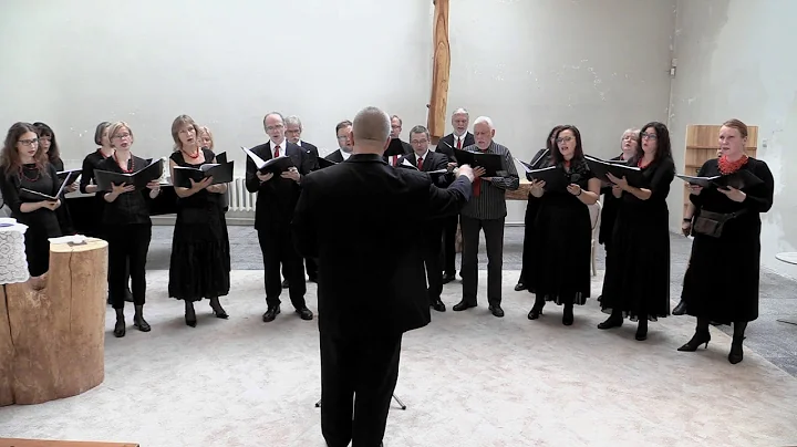 ERKI Chamber Choir - 'Teele, teele kurekesed'
