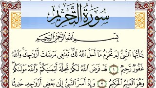 سورة التحريم مكتوبة بصوت عبد الرشيد صوفي Surah Al Tahreem  برواية شعبة عن عاصم