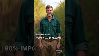 Ireland's Apple Dilemma #shorts #apple #irishnature #eatlocal  #ecologicalbalance #fruittree