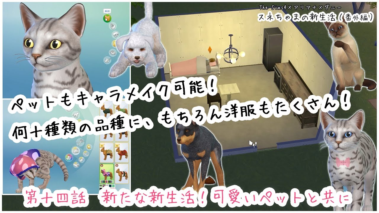 アリアナと可愛いペット達のほのぼの新生活 Sims4 スネちゃまの新生活番外編14話 Youtube