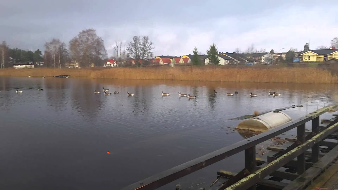 Hinsebergsbron Frövi 1834-2014