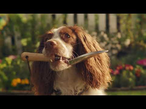 Dobbies Spring | Discover The Joy Of Spring | Not Your Average Garden Centre