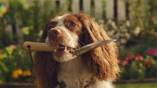 Dobbies Spring | Discover The Joy Of Spring | Not Your Average Garden Centre