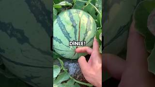 Di̇nlemek Zorundasin Hayatin Deği̇şecek 🙄🤐