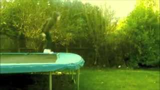 trampoline edit summer