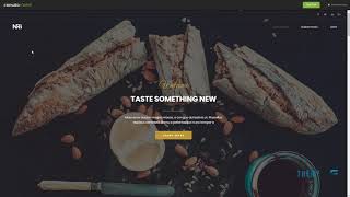 Infinituum Responsive Multi-Purpose WordPress Theme      Elmer Lucius