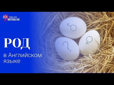 Мужской, женский и средний род в английском языке