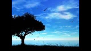 Eddie Vedder - Sleeping By Myself