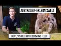 KANGAROOS in AUSTRIA!