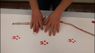 Animal Tracks Part 2: Measurements