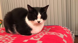 スナックおむすび