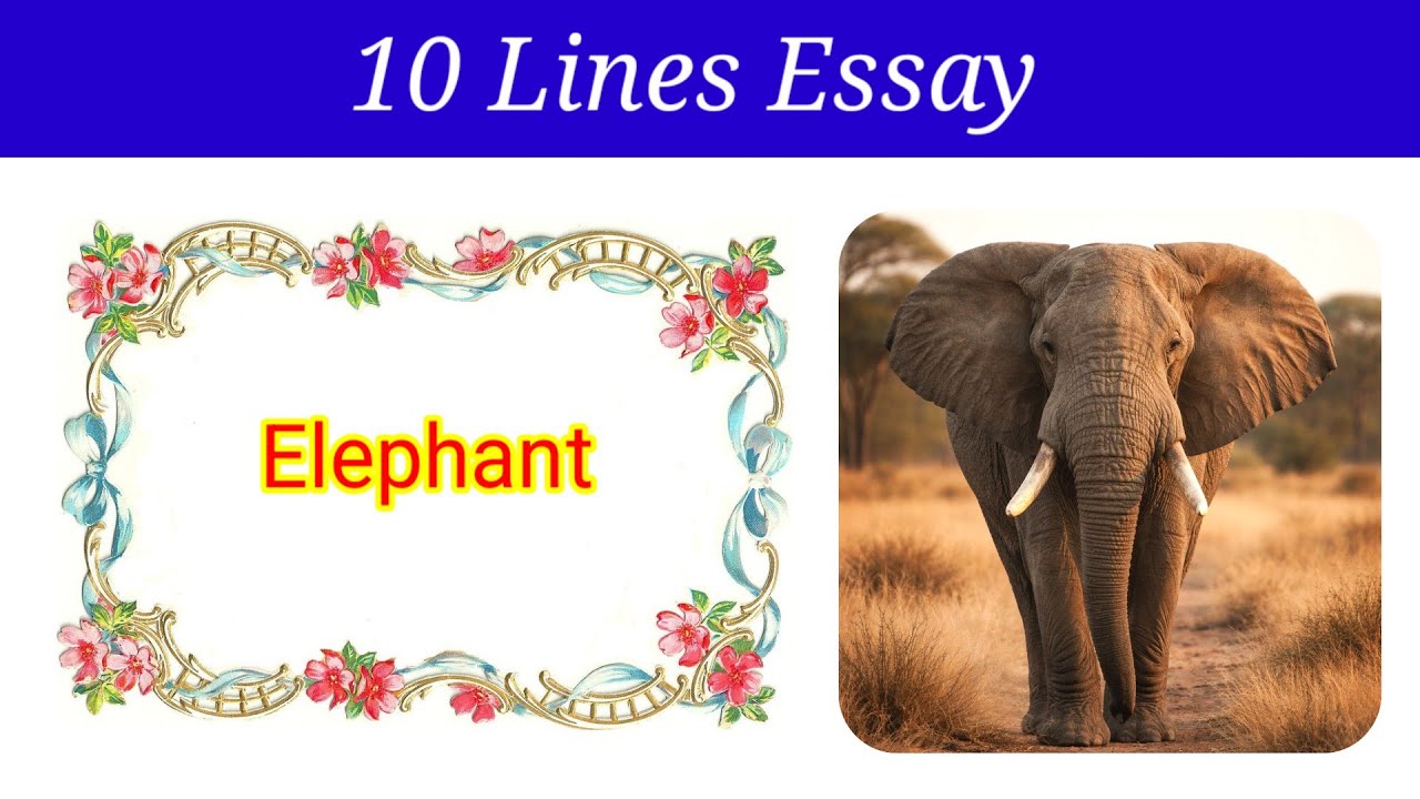 10 Lines Essay on Elephant in English | Elephant Essay in English | essay on Elephant