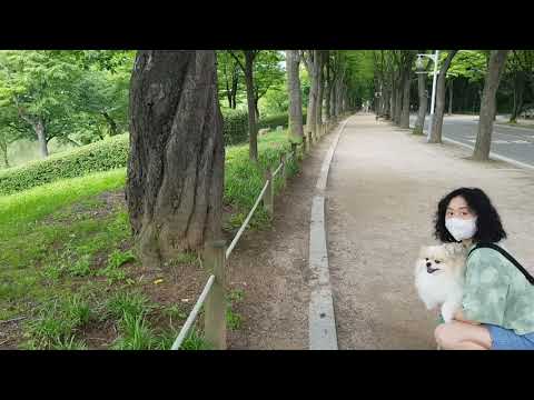 인천대공원