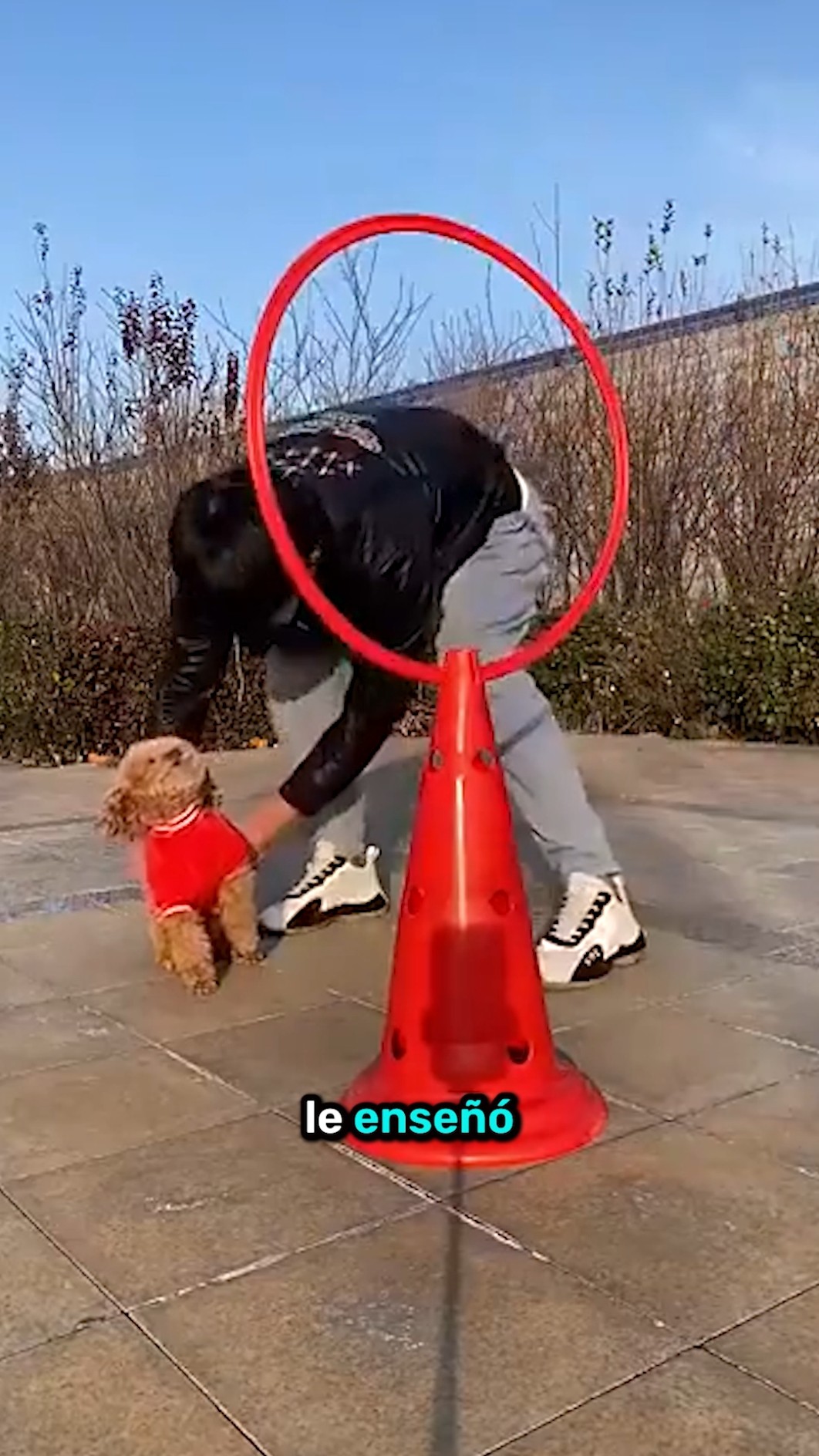 El reto era imposible… pero mira lo que hizo ??