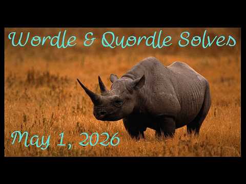 Video Wordle & Quordle of the Day for May 1, 2026: Save the Rhino Day!