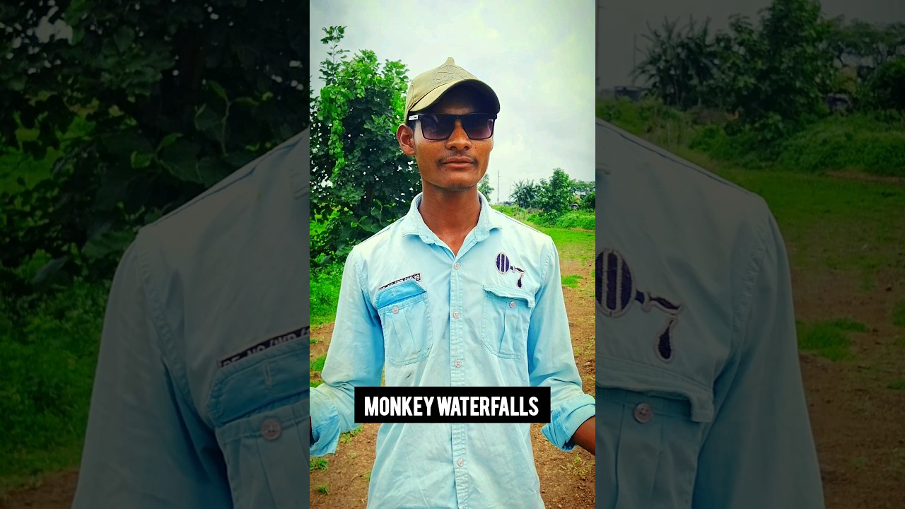 We are going to water fall👌😜|| monkey waterfall 