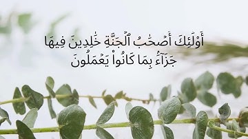 ما تيسر من سورة الأحقاف | عبدالله التميمي