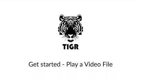 Get started - Play a Video File with TIGR vision toolkit for LabVIEW