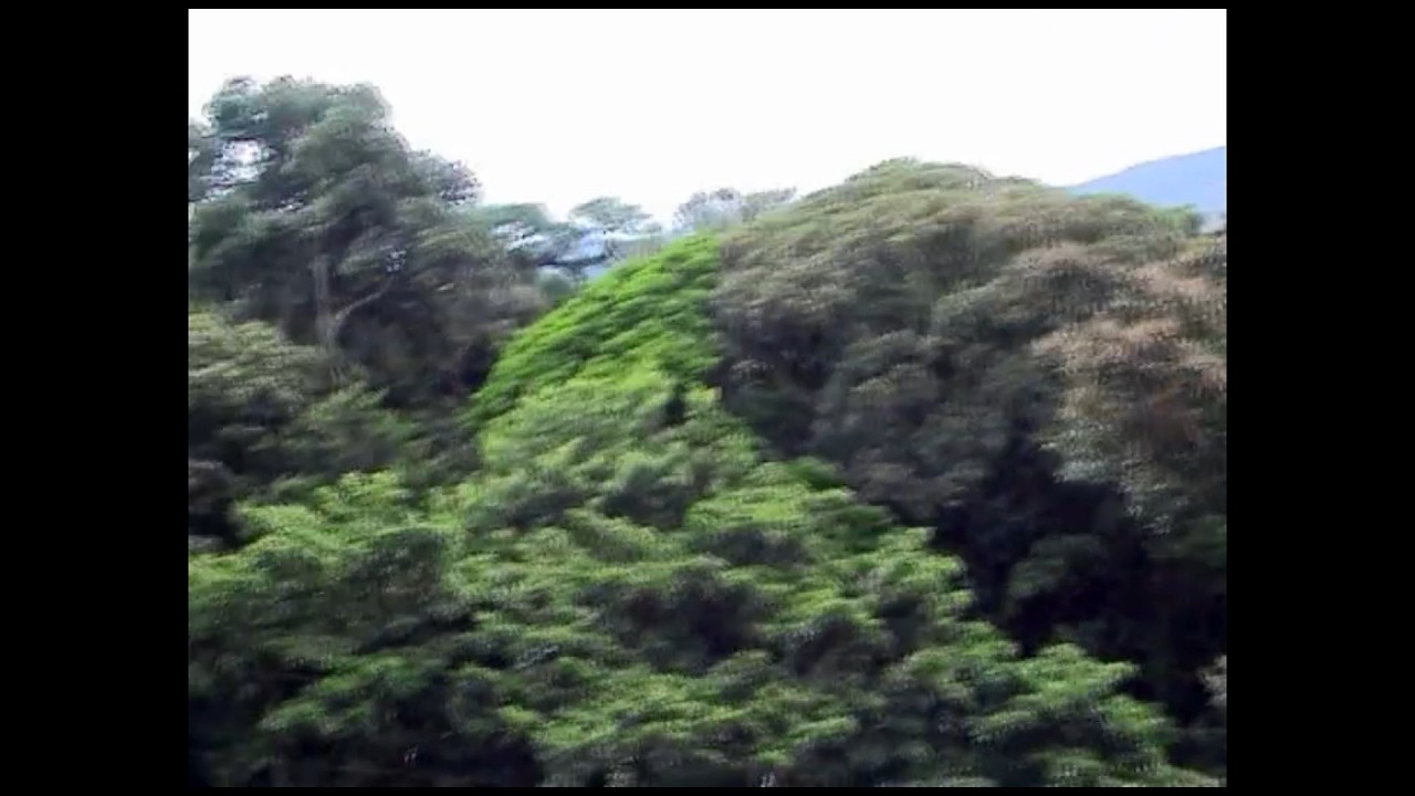 Seria 1 Part 2c Costa Rica Monteverde