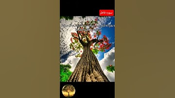 سورة فاطر مكية|رقم السورة:35-عدد آياتها:45 عدد كلماتها:780 #اكسبلور #المصحف #محتوي_ديني #حالات_واتس