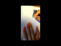 Speedpaint horse