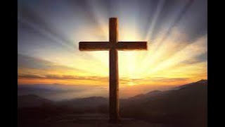 Join Father Jim for Palm Sunday Mass at St. Thomas Aquinas Cathedral
