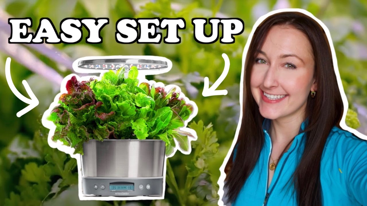 AEROGARDEN SETUP 👏🏼🥬 (Beginner Set Up Guide/ Harvest Elite 360) - YouTube