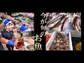夏のおススメ!旬の魚紹介