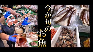 夏のおススメ！旬の魚紹介