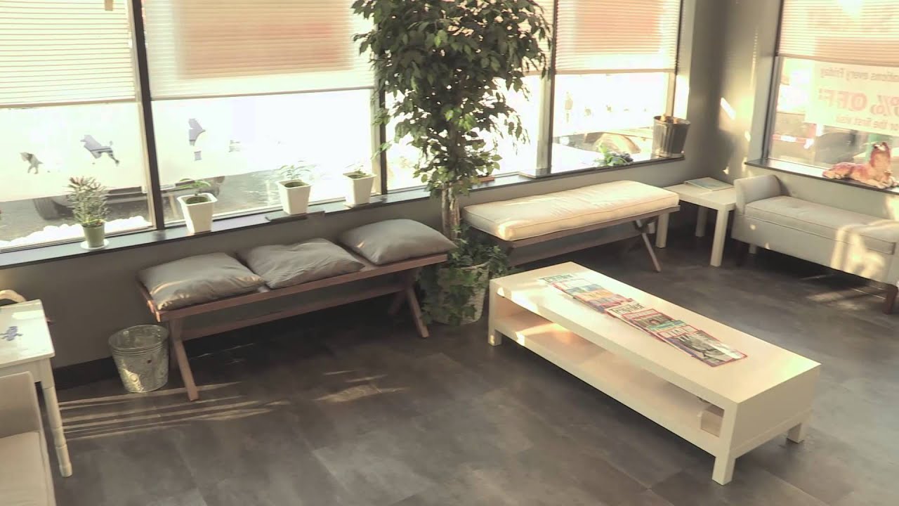 Paws and Feathers Veterinary Clinic YouTube