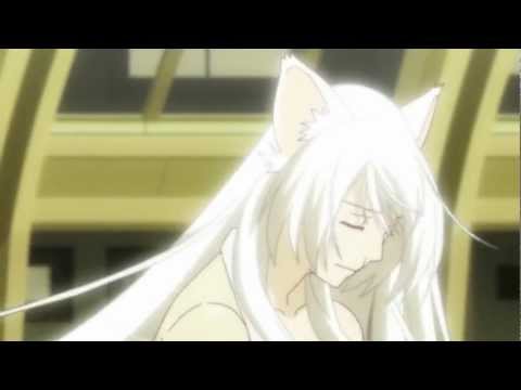 Bakemonogatari AMV - Tigerlily