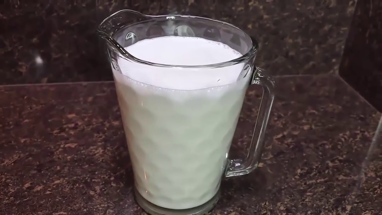 leches baratas y saludables YouTube