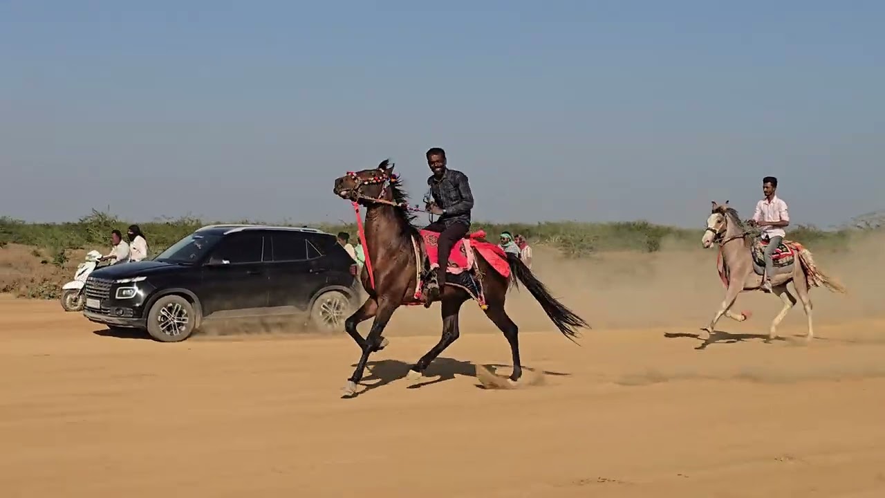 Horse Rewal Chal Racing At Vekriya Rann 2026