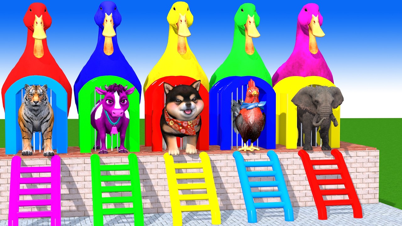 Long Slide Game With Cow Elephant Gorilla Hippopotamus Tiger 3d Animal Game Funny 3d Animals