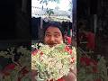 Tree vs Man = One Round, One Cauliflower😁😀😁