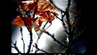 Drowning Susan - Forget (This Lost Lenore).avi