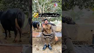 اب تک کا سب سے مزاحیہ لطیفہ 🤫😱😂#funny #mems #viralshort #likes  #trending #bhfyp #jokes