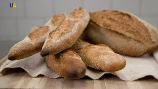 видео Домашний хлеб по рецепту французского пекаря | Публикации | Вокруг Света | Все о путешествиях - Пляжный Отдых