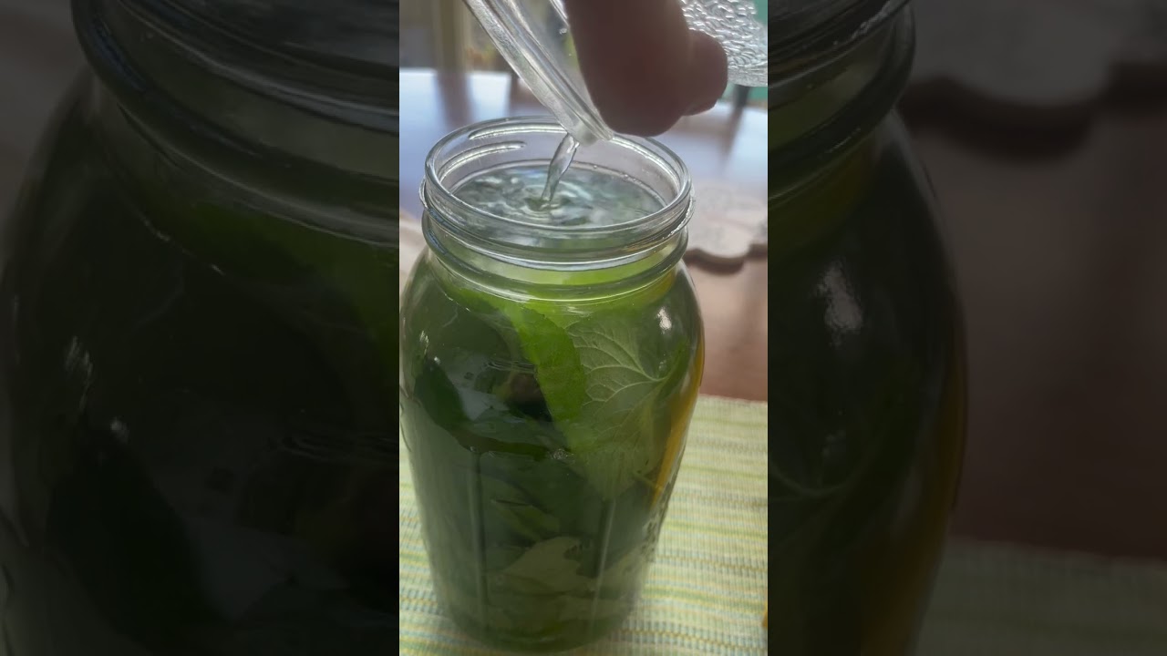 Violet leaf tincture