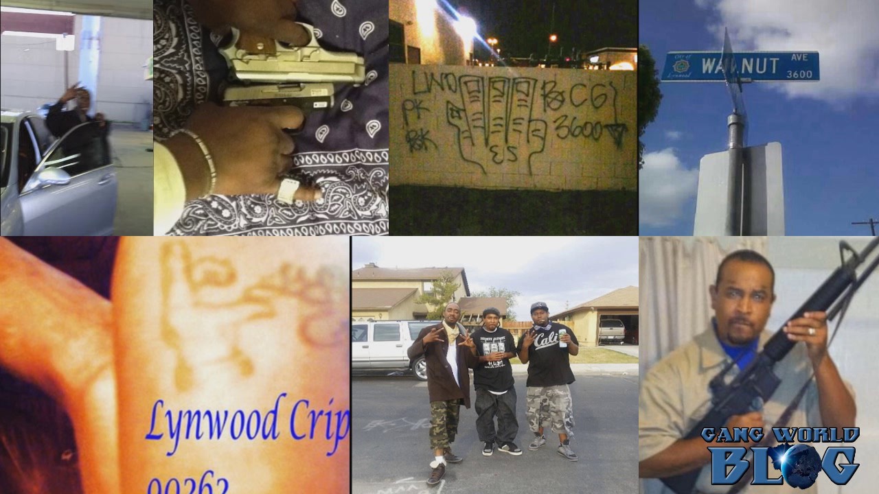 Walnut Blocc Crips Gang History (Lynwood, Ca) YouTube