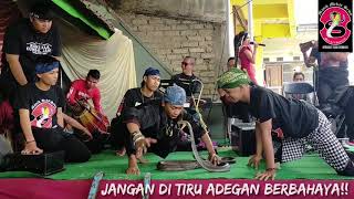 ATRAKSI  ULAR BERBISA MANIK MEKAR SEWU